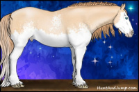Horse Color:White Spotted Buckskin Pearl Splash