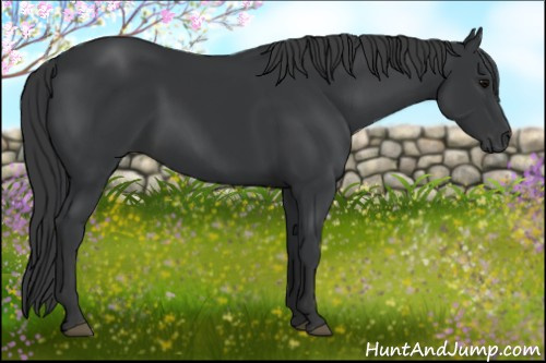 Horse Color: Brown 