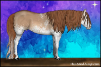 Horse Color:White Spotted Liver Red Dun Splash 