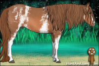 Horse Color:White Spotted Liver Chestnut