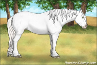 Horse Color:Silver Sable Champagne Roan Blanket 
