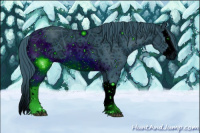 Horse Color:ERROR: UNKNOWN ANOMALY