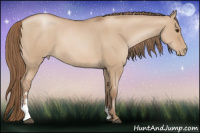Horse Color:Grullo Pearl Sabino