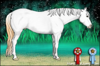 Horse Color:White Spotted Buckskin Splash Tobiano Appaloosa 