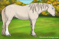 Horse Color:Smoky Creme 