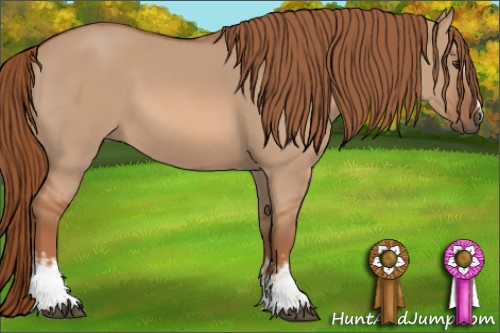 Horse Color: White Spotted Liver Red Dun 