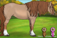Horse Color:White Spotted Liver Red Dun 