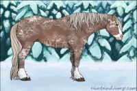 Horse Color:Silver Brown Ice Splash