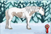 Horse Color:Silver Grullo Ice Splash Tobiano 