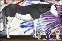 Horse Color:Brown Splash