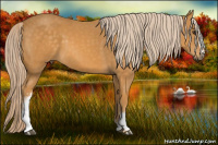Horse Color:White Spotted Chocolate Palomino 