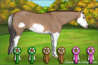 Horse Color:Bay Dun Splash Frame