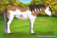 Horse Color:Bay Splash Frame 