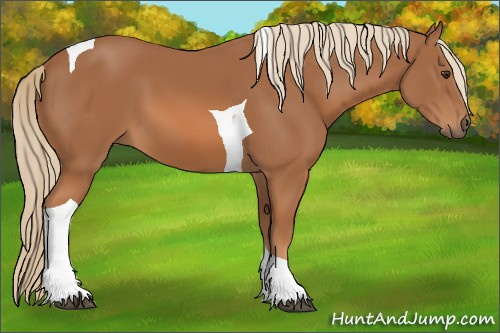 Horse Color: Chestnut Tobiano 