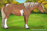 Horse Color:Chestnut Tobiano