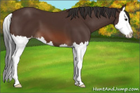Horse Color:Brown Splash