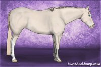 Horse Color:Perlino 