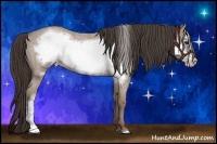 Horse Color:Classic Champagne Roan Frame 