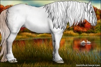 Horse Color:Gray Chestnut Sabino