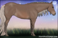 Horse Color:Silver Black 