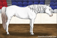 Horse Color:Bay Snowcap 