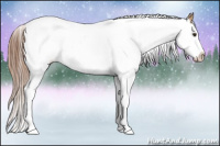 Horse Color:White Spotted Liver Red Dun Splash 