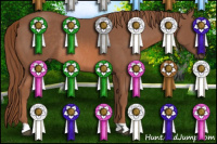 Horse Color:Liver Chestnut Rabicano