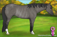 Horse Color:Grullo Rabicano 