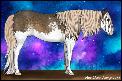 Horse Color: White Spotted Chocolate Palomino Splash 