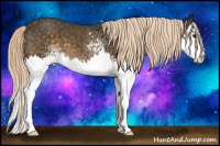 Horse Color:White Spotted Chocolate Palomino Splash