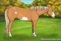 Horse Color:Chocolate Palomino Frame 