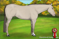 Horse Color:Classic Cream Champagne Dun Rabicano 