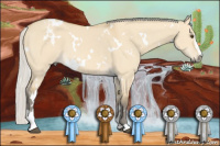 Horse Color:White Spotted Silver Buckskin Dun Sabino 