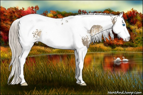 Horse Color: White Spotted Silver Smoky Grullo Splash Tobiano Rabicano 