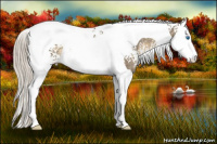 Horse Color:White Spotted Silver Smoky Grullo Splash Tobiano Rabicano