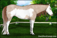 Horse Color:Red Dun Roan Splash Frame Rabicano 