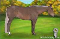 Horse Color:Silver Black 