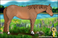 Horse Color:Red Roan 