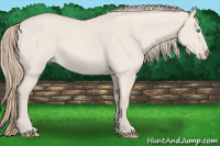 Horse Color:Smoky Creme Dun Sabino Rabicano