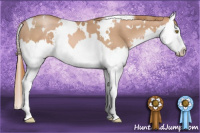 Horse Color:White Spotted Chestnut Pearl Splash