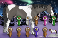 Horse Color:Grullo Splash Tobiano 