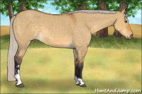 Horse Color:Silver Buckskin Dun Sabino
