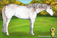 Horse Color:White Spotted Silver Bay 