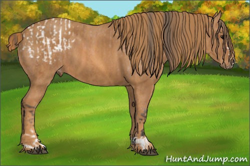Horse Color: Bay Splash Tobiano Blanket  Brindle