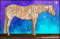 Horse Color:Bay Splash Tobiano Blanket  Brindle