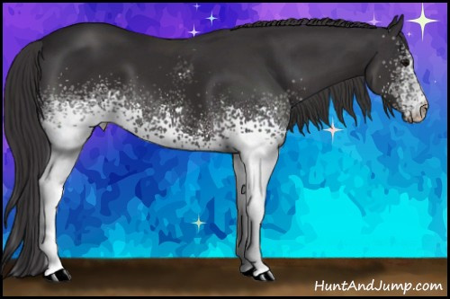 Horse Color: White Spotted Buckskin Tobiano 