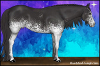 Horse Color:White Spotted Buckskin Tobiano 