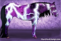 Horse Color:ERROR: UNKNOWN ANOMALY Brindle