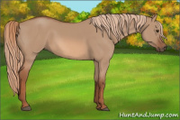 Horse Color:Liver Red Dun 