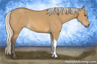 Horse Color:Silver Buckskin Dun 
